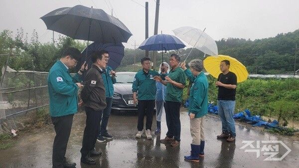 19일 영천시 관계자들이 집중호우로 침수된 농경지를 둘러보며 긴급 복구 방안을 논의하고 있다. [영천시]