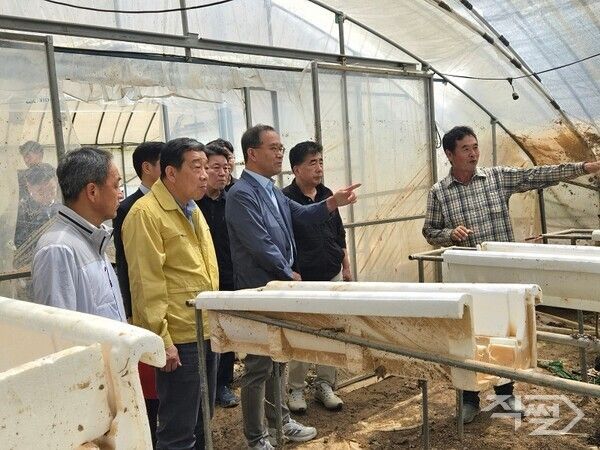이찬우&nbsp;NH농협금융지주 회장(오른쪽에서 세 번째)이 21일 충남 홍성군의 침수 피해를 입은 한 딸기 농가를 방문해 피해 상황을 점검하고 있다. [NH농협금융]