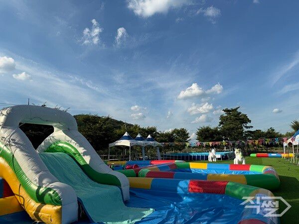 영천 ‘화랑키즈워터밤’ 물놀이장 전경. [영천시]