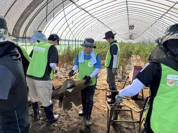 25일 박도성 IT부문 부행장과 직원들이 수해복구 작업을 진행하고 있다. [NH농협은행]