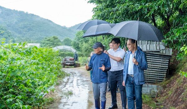 이찬우 NH농협금융 회장(오른쪽)이 지난 18일 경기도 남부 소재 농가를 방문해 현장을 점검하고 있다. [NH농협금융지주]