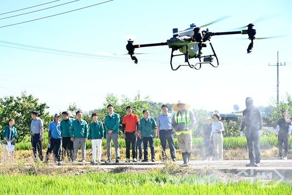 무인항공방제 실시 모습. [달성군]
