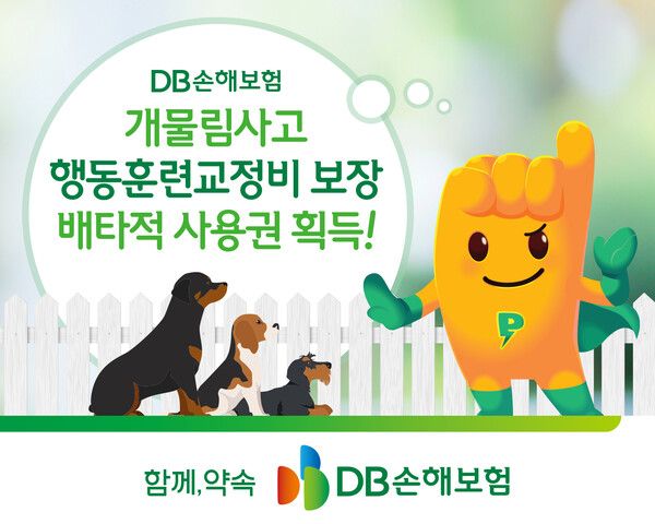[DB손해보험]