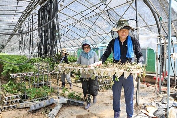 의성군의회 직원들이 집중호우로 피해를 입은 경남 합천군에서 수해 복구 지원 활동을 하고 있다. [의성군의회]