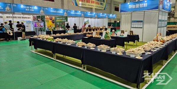 제1회 한국 마늘 산업 박람회 모습. [영천시]