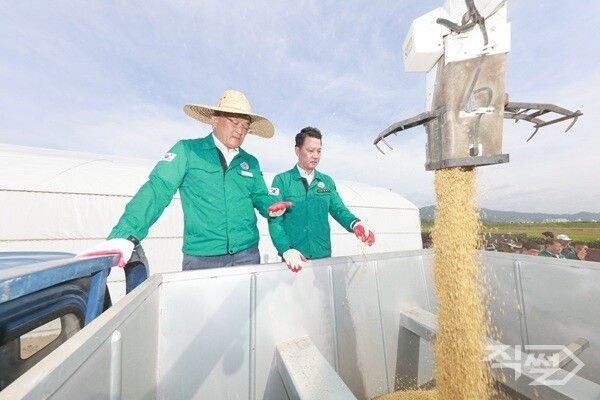 예천군, 해담쌀 첫 벼베기 장면 [예천군청]