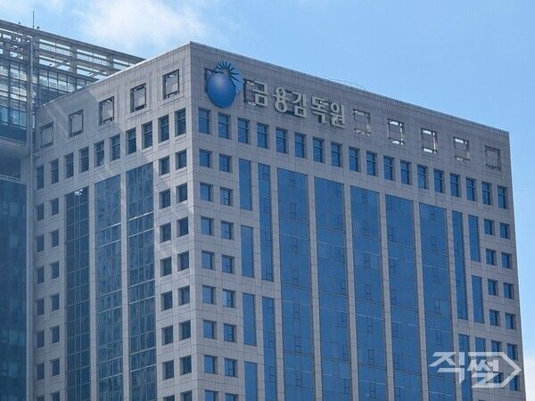 금융감독원. [직썰 손성은 기자]