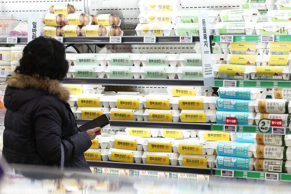 서울 한 대형마트 계란 판매대. [연합뉴스]