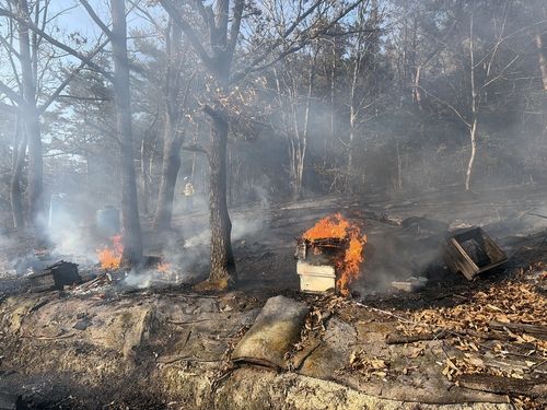 무안 망모산 산불 진화 현장. [연합뉴스]