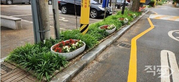 폐보도블록으로 화단 조성된 모습. [대구 수성구청]