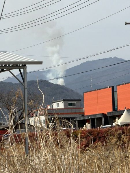 청도군 풍각면 산불 현장. [산림청]