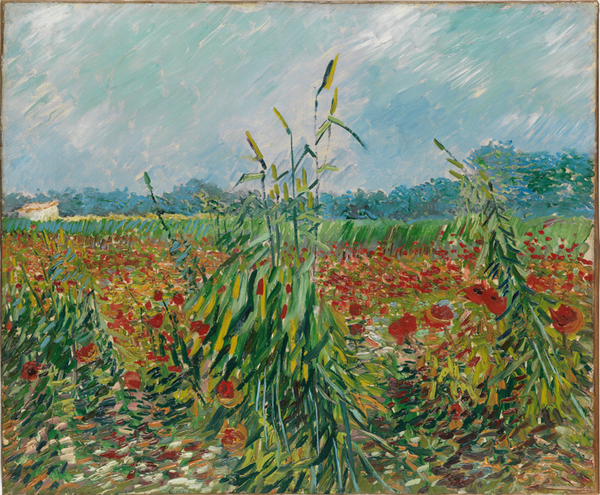 빈센트 반 고흐, 밀밭의 양귀비, 1887년 캔버스에 유채, 54.5x65cm. [노원아트뮤지엄]