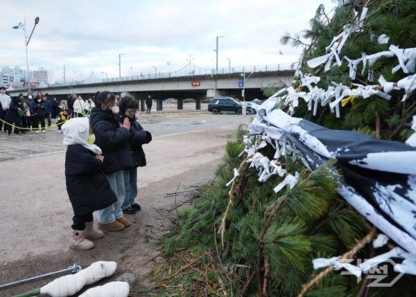 아이들이 달집에 소원지를 단 후 소원을 빌고 있다. [영천시]
