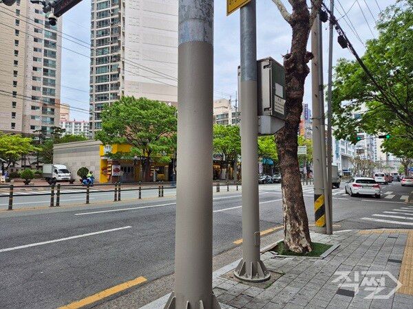 대구 북구 불법광고물 부착방지제 도포된 모습. [대구 북구청]