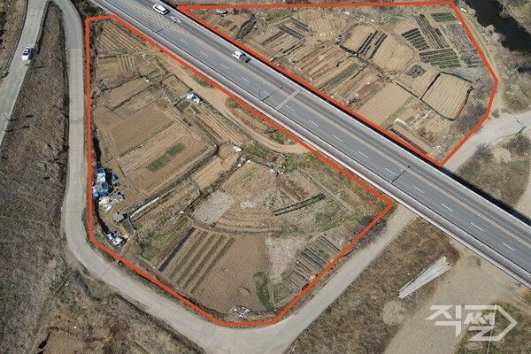 다사읍 박곡리 일원 불법경작지 모습. [달성군]