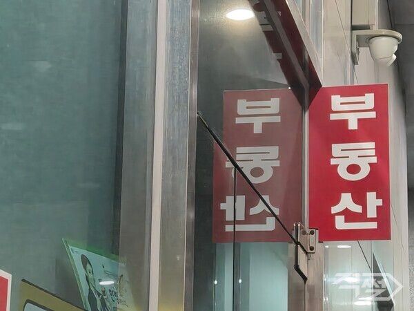 서울 마포구에 위치한 한 부동산 모습. [임나래 기자]