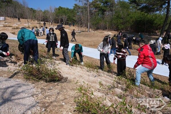 제81회 식목일 나무심기 행사 진행 모습. [영천시]