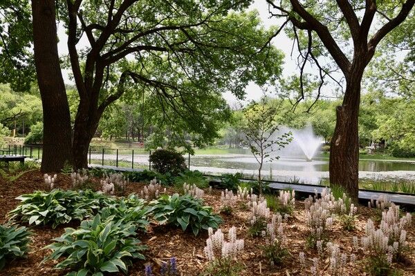 삼표그룹이 ‘2026 서울국제정원박람회’가 열리는 서울숲 일대에 조성한 삼표 정원 ‘숲으로 가는 길’의 전경. 삼표그룹은 자연주의 철학을 투영한 정원을 통해 사람과 자연이 조화롭게 공존하는 지속 가능한 미래 도시의 청사진을 제시했다. [삼표그룹]