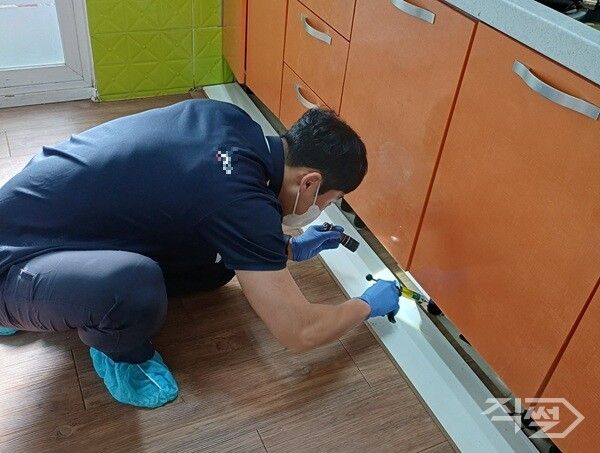 해충 방역 서비스 실시 모습. [달성군청]