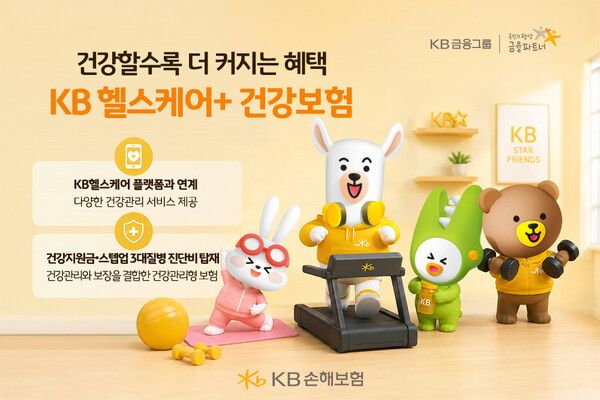 [KB손해보험]