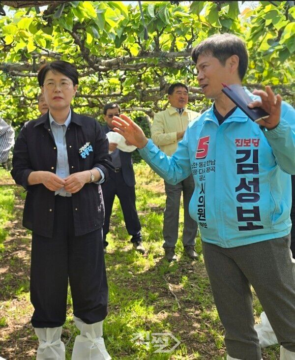 지난 2026년 5월 4일 진보당 전종덕 국회의원과 김성보 나주시의원 후보가 저온냉해로 배 착과 불량 피해가 발생 된 나주시 왕곡면 배과수원을 방문해 현장을 살피고 있다.&nbsp; [김성보 나주시의원 당선자]