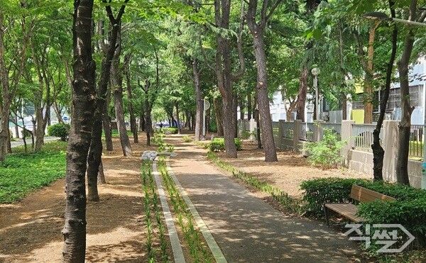 대구 동구 신기동 일원 시설녹지 수경시설 정비 완료된 모습. [대구 동구청]