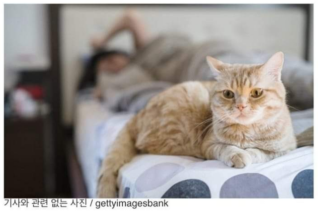 라오유튜브 | 오늘의이슈 f8c6f1ba-96eb-4fbb-9dec-69bb8a720161.png?area=BODY&requestKey=H0cKa48w