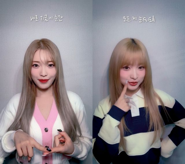 빌리 하람X하루나_1월 0일 (a hope song) 수어 챌린지.jpg