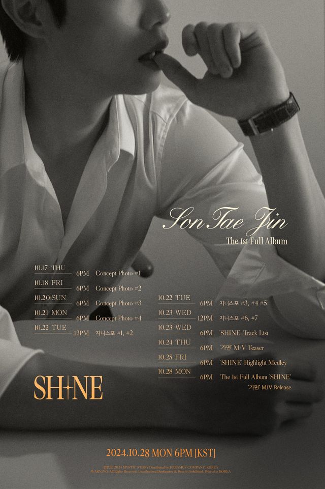 손태진_첫 정규 앨범 _SHINE_ 스케줄러.jpg