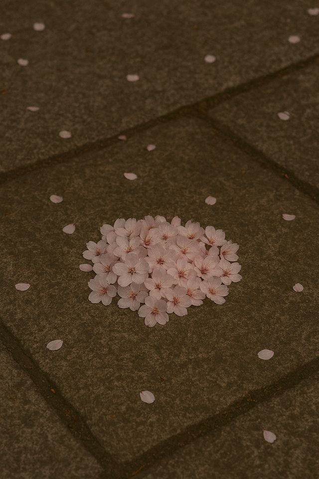 250417 황가람 신곡 스포일러 이미지 보도자료(1).jpg