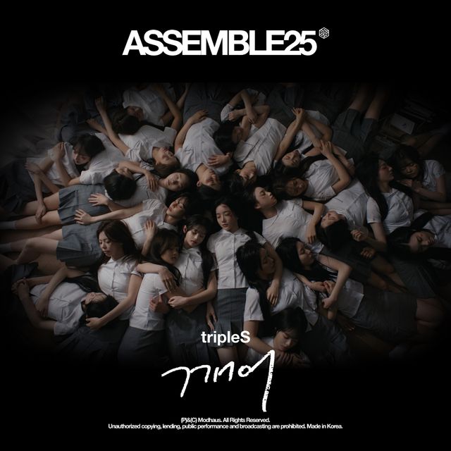 트리플에스 사진(2) (3).jpg