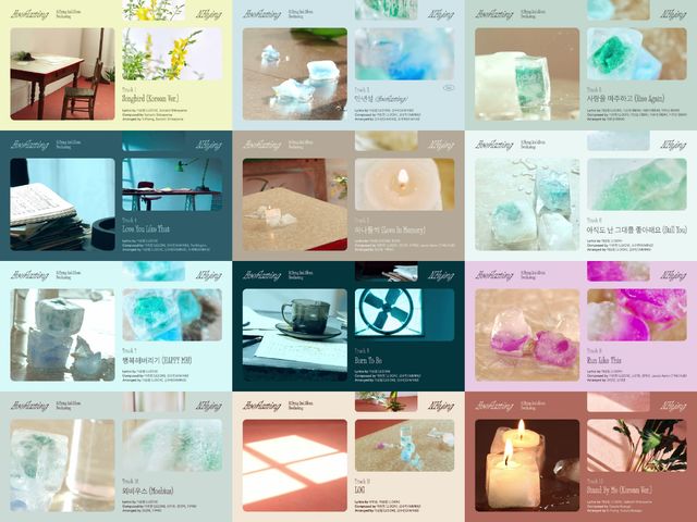 FNC_엔플라잉 (3).jpg