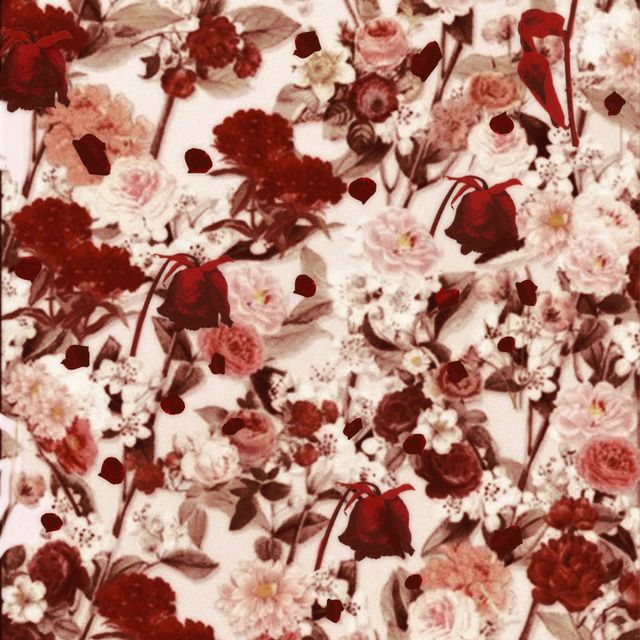 d4vd 'Always Love featuring Hyunjin (Stray Kids)' 커버 이미지(출처_d4vd).jpg