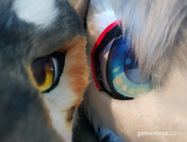 필름을 써 최대한 티가 나지 않게 밖을 보게 하거나, 타공을 통해 시야를 트는 방법이 주류 (사진제공: 펀즈이누)