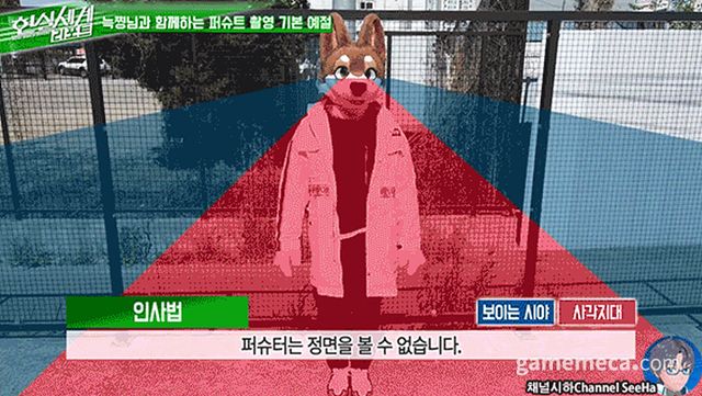 기본적으로 시야가 넓지 않기에 안전에 유의해야한다 (사진출처: 채널시하 유튜브 영상 갈무리)