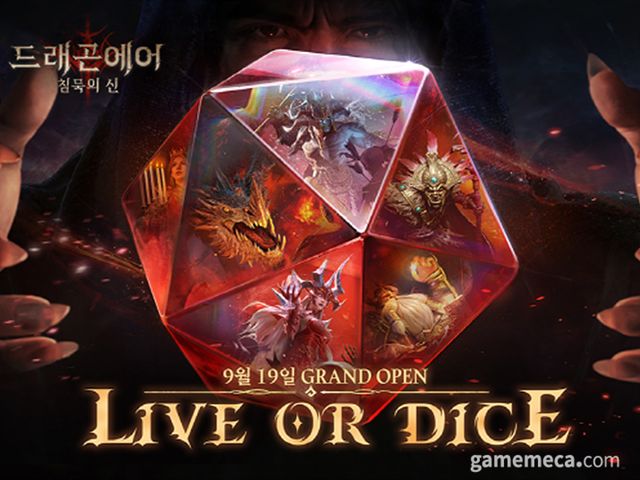 드래곤에어 공식 이미지 (사진제공: