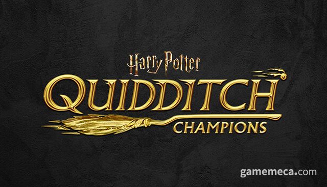 해리포터: 퀴디치 챔피언 대표 이미지 (사진출처: 스팀)