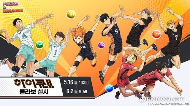 퍼즐앤드래곤 '하이큐' 컬래버레이션 대표 이미지