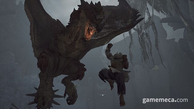 고우키 장비를 착용해 다양한 액션을 만나볼 수 있다 (사진출처: 몬스터 헌터 와일즈 공식 홈페이지)