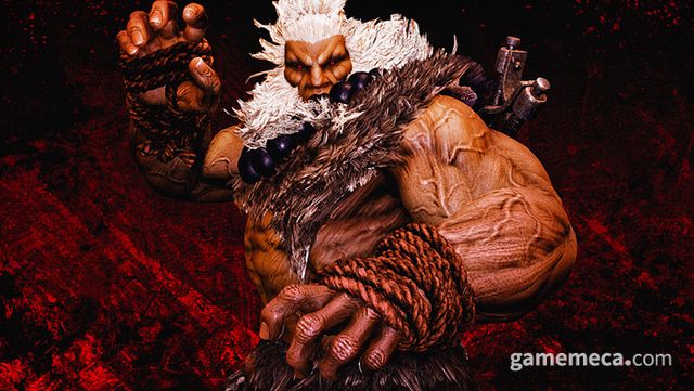 몬스터 헌터 와일즈 스트리트 파이터 6 컬래버 대표 이미지 (사진출처: 캡콤 공식 홈페이지)