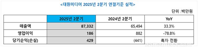 대원미디어 2분기 실적 요약 (자료제공: 대원미디어)