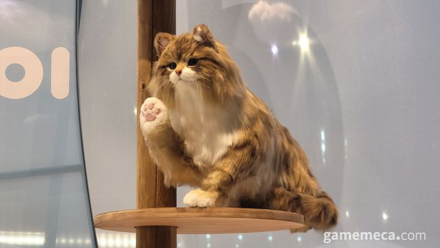 그 옆에는 인조이의 상징과도 같은 고양이 신 '프시캣'이 요트 위에서 반겨주고 있었다 (사진: 게임메카 촬영)