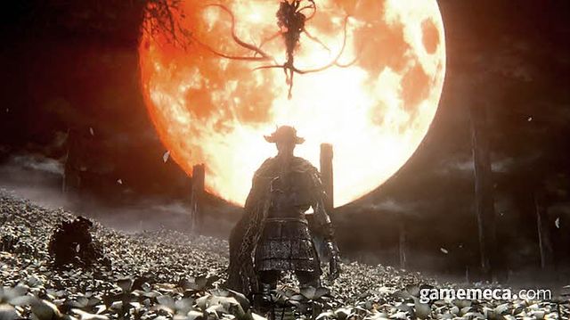 역시 보름달과 갈대 들판, 밤의 세 가지 요소가 합쳐지면 최고의 분위기가 나온다 (사진: 게임메카 촬영)