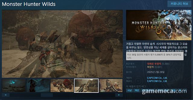 최적화 문제로 스팀 평가가 바닥을 찍고 있는 몬스터 헌터 와일즈 (사진출처: 스팀)