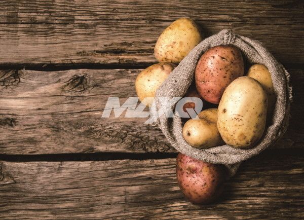 TOTAL 헬스N피트니스 미디어-맥스큐 2018년 9월호(96호)