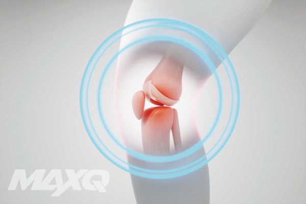 TOTAL 헬스N피트니스 미디어-맥스큐 2024년 9월호(168호)