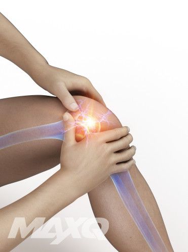 ​TOTAL 헬스N피트니스 미디어-맥스큐 2024년 9월호(168호)