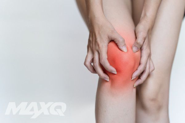 ​TOTAL 헬스N피트니스 미디어-맥스큐 2024년 9월호(168호)