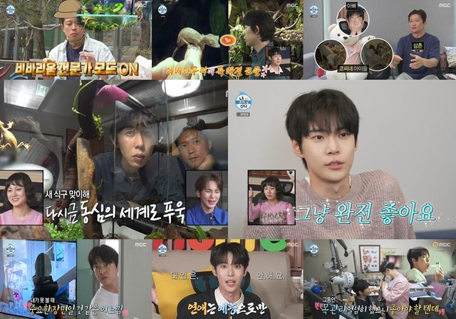 iMBC 연예뉴스 사진