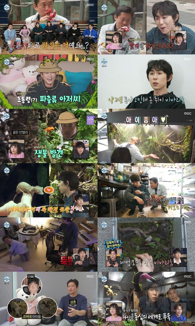 iMBC 연예뉴스 사진